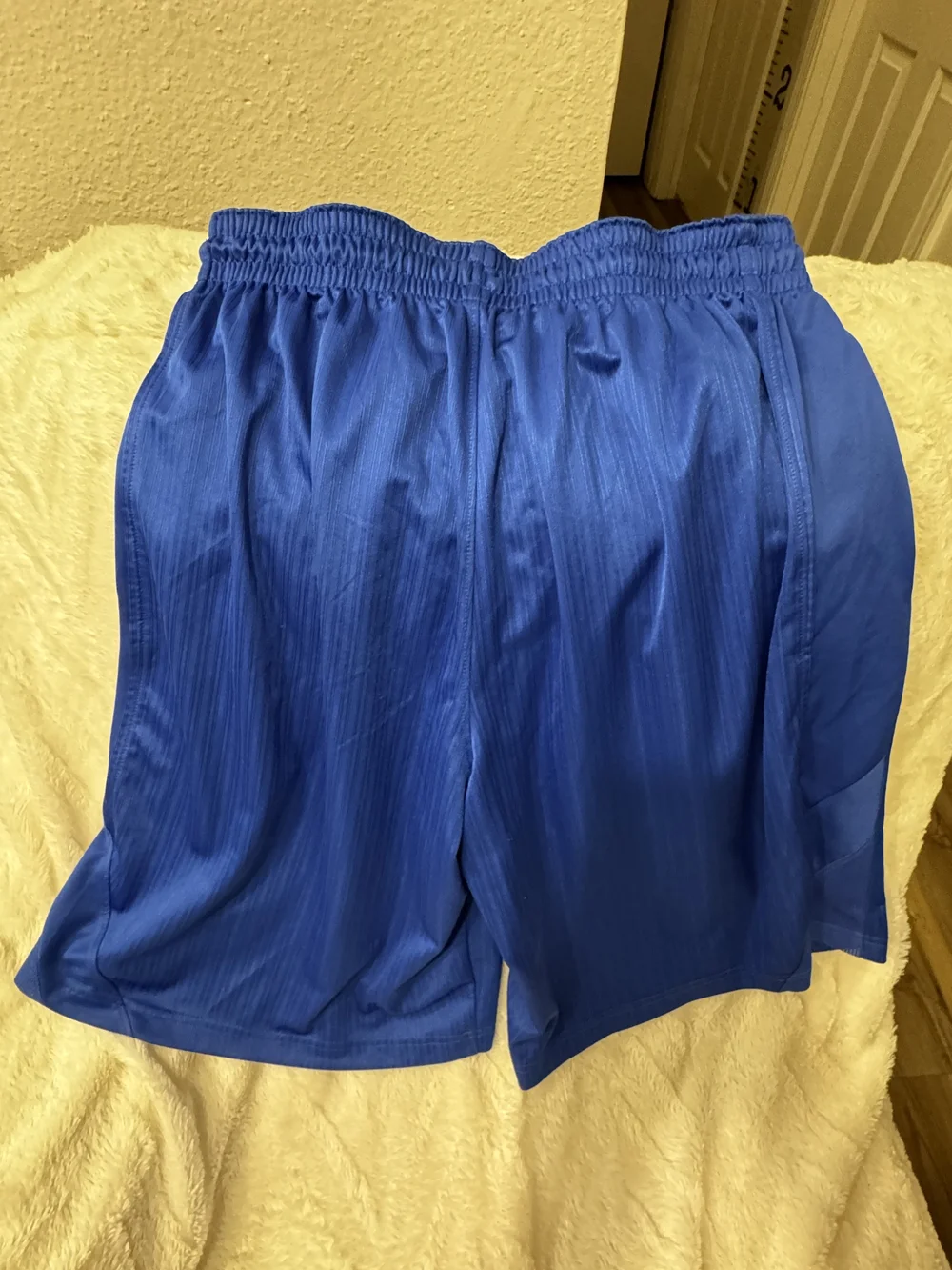 Nike Men's Royal Blue Athletic Shorts with White Swoosh
